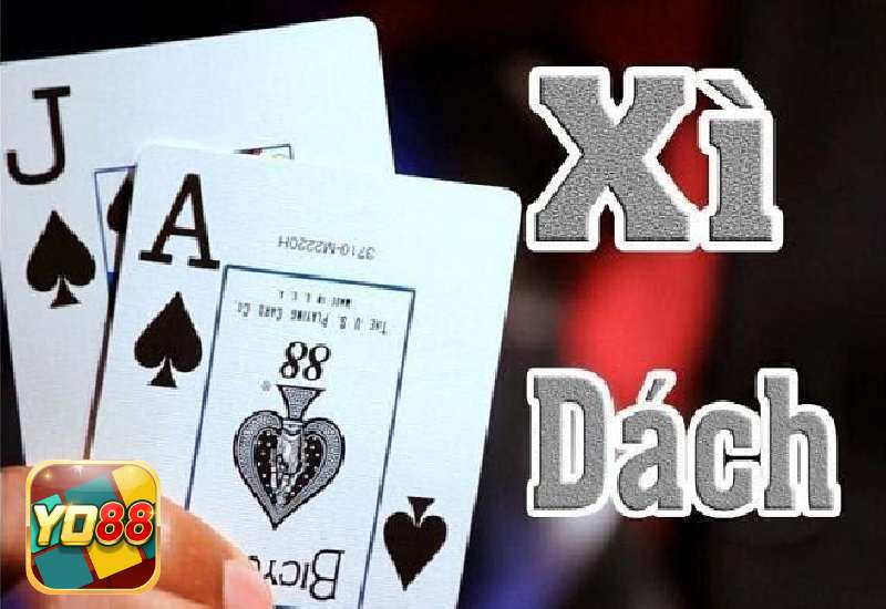 Khái niệm ngũ linh là gì?